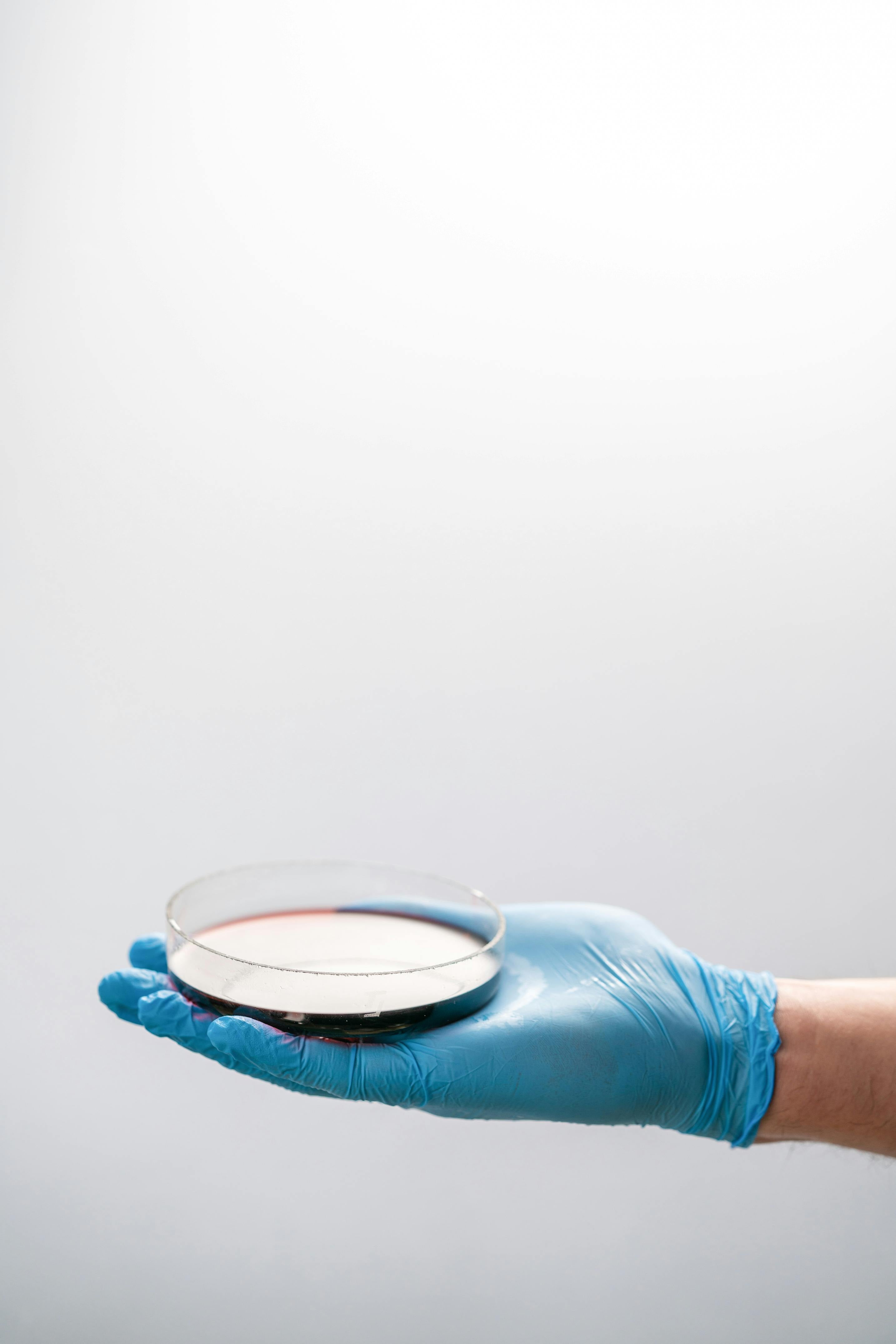 How to Prepare an Agar Plate – GMP Plastic