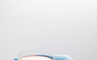 Petri Dish With Agar 