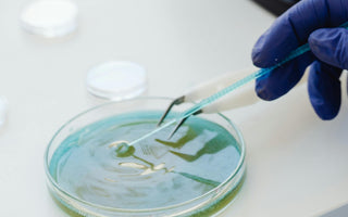 How to Properly Seed Your Cells