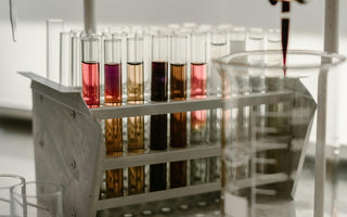 High-Throughput Drug Screening (HTS) in Modern Drug Discovery