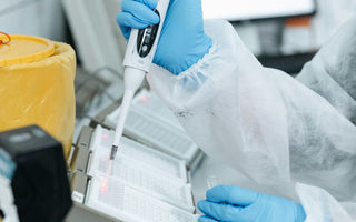 Person Pipetting in to a Cell Culture Plate