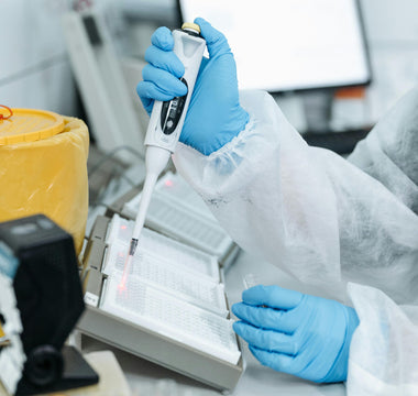 Person Pipetting in to a Cell Culture Plate