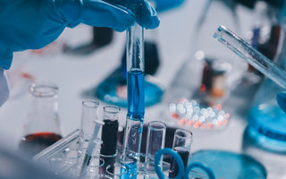 Neural Differentiation Protocols: Methods, Applications, and Advances
