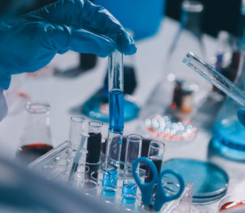 Neural Differentiation Protocols: Methods, Applications, and Advances