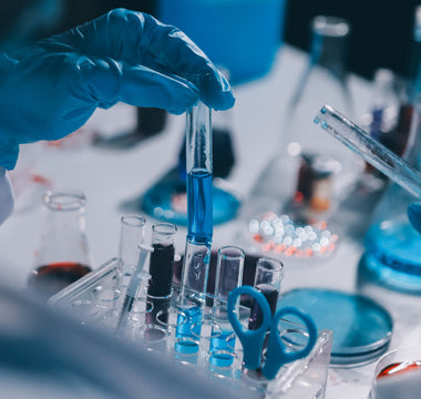 Neural Differentiation Protocols: Methods, Applications, and Advances