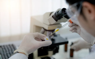 Efficient Recombinant Protein Production: Methods & Applications