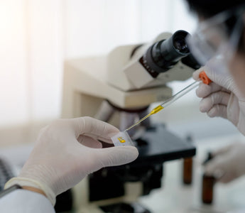 Efficient Recombinant Protein Production: Methods & Applications