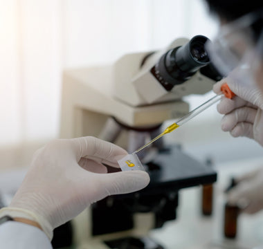 Efficient Recombinant Protein Production: Methods & Applications