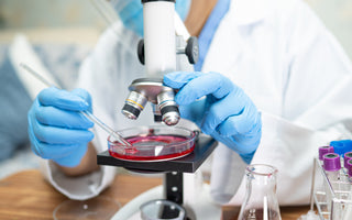 Advancing 3D Cell Culture: Methods, Applications & Future Trends