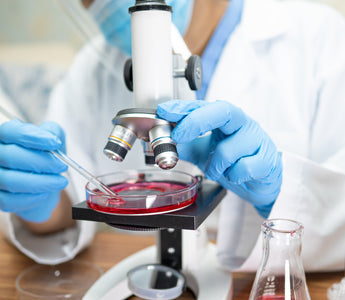 Advancing 3D Cell Culture: Methods, Applications & Future Trends