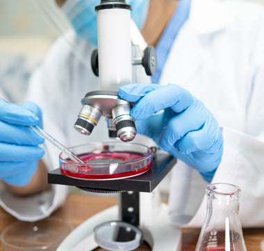 Advancing 3D Cell Culture: Methods, Applications & Future Trends