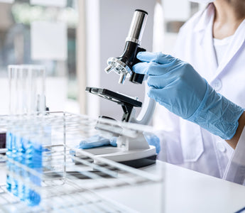 Protein Crystallization: Key Techniques in Structural Biology