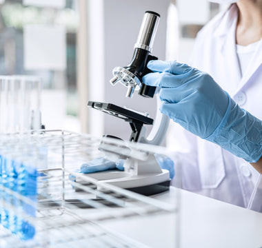 Protein Crystallization: Key Techniques in Structural Biology