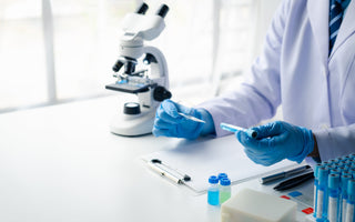 Primary Cells vs. Cell Lines: Key Differences & Research Applications