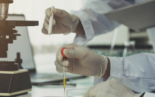 Microbial Plating: Culturing Bacteria & Fungi on Agar Plates
