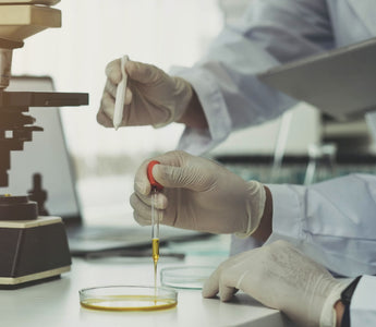 Microbial Plating: Culturing Bacteria & Fungi on Agar Plates