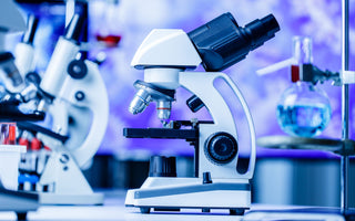Alternatives to Animal-Derived Research Reagents: A Sustainable Future