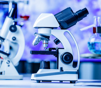 Alternatives to Animal-Derived Research Reagents: A Sustainable Future