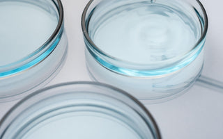 Serum-Free Cell Culture: Benefits, Challenges & Future Prospects