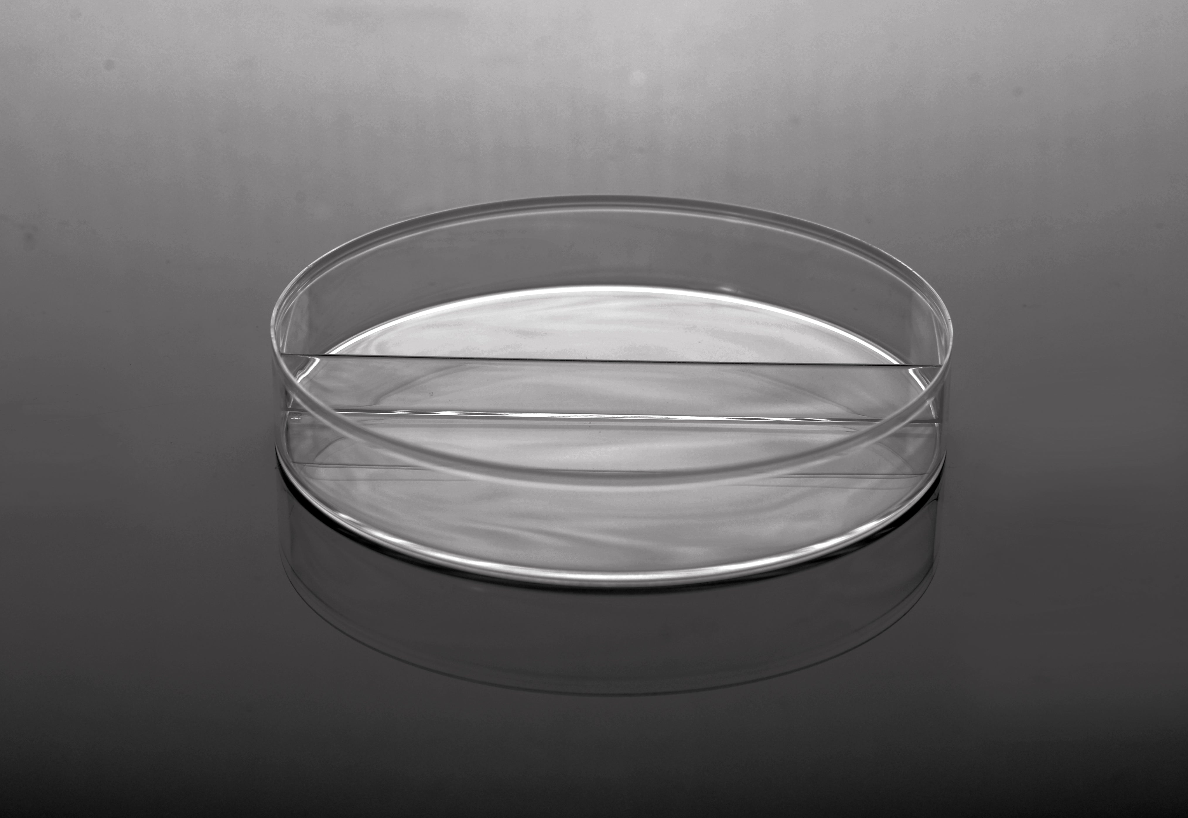  100 x 15 mm Petri Dish, I-Plate (2-section)-NEST Scientific 752011