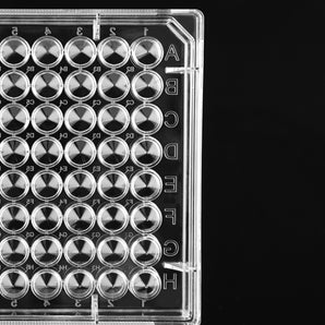 Cell Culture Plates - cGMP Compliant – Page – GMP Plastic