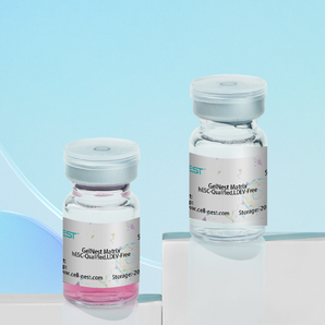 GelNest™ Matrix, for Angiogenesis Experiment, with Phenol Red, LDEV-Free, 5 mL/bottle, 1 bottle/bag - 211492