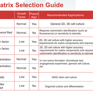 NEST GelNest Matrix, for Organoid Culture, Phenol Red-Free, LDEV-Free, 5 mL/bottle, 1 bottle/bag - 211282