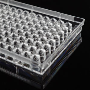 Close up of V-bottom 96 well cell culture plate, NEST Scientific 701201