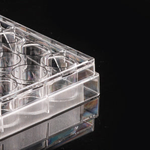 close up of 24 well cell culture plate, NEST Scientific 702001