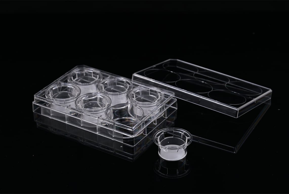 Nested Insert Cell Culture Insert, PET, 6 Nested Inserts + 6 Well Plate, Non-Treated ...