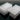 NEST Scientific 510011 - 16 mL 24-Well Deep Well Plates, with 24 Well Plastic Comb